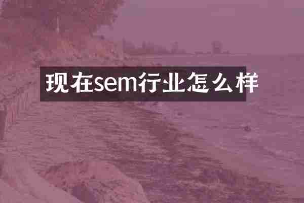 现在sem行业怎么样