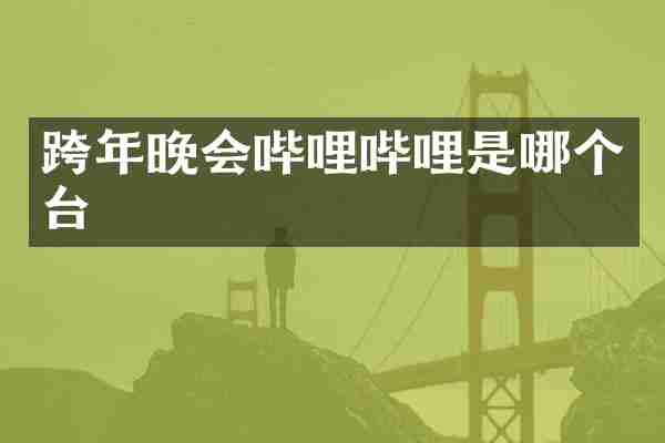 跨年晚会哔哩哔哩是哪个台