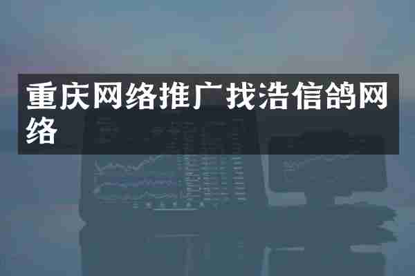 重庆网络推广找浩信鸽网络