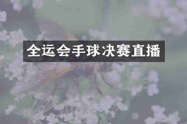 全运会手球决赛直播