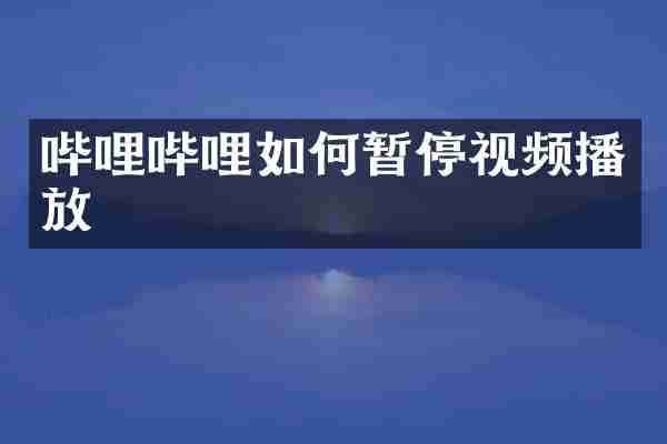 哔哩哔哩如何暂停视频播放
