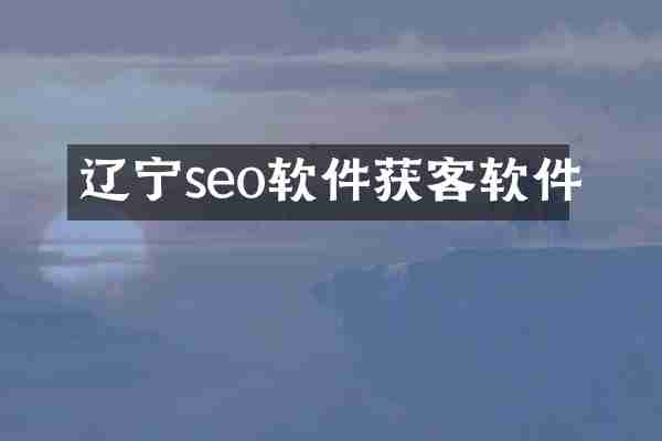 辽宁seo软件获客软件