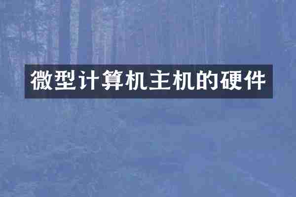 微型计算机主机的硬件