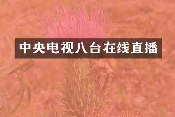 中央电视八台在线直播