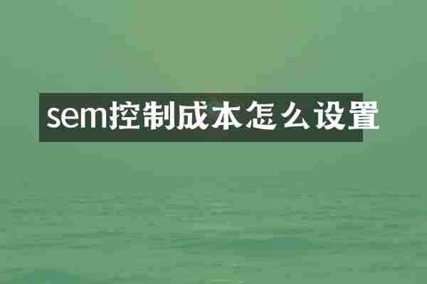 sem控制成本怎么设置