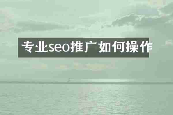 专业seo推广如何操作