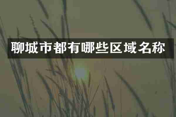 聊城市都有哪些区域名称