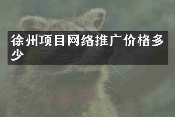 徐州项目网络推广价格多少