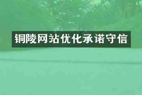 铜陵网站优化承诺守信