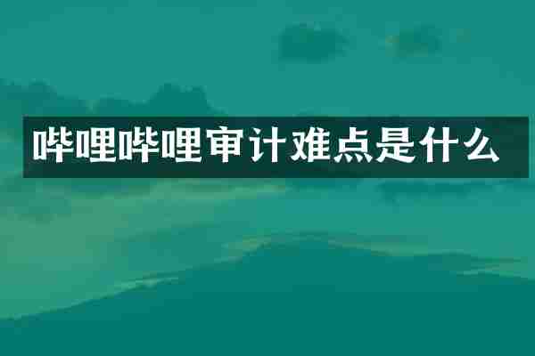 哔哩哔哩审计难点是什么