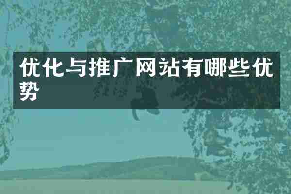 优化与推广网站有哪些优势