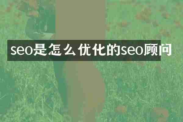 seo是怎么优化的seo顾问