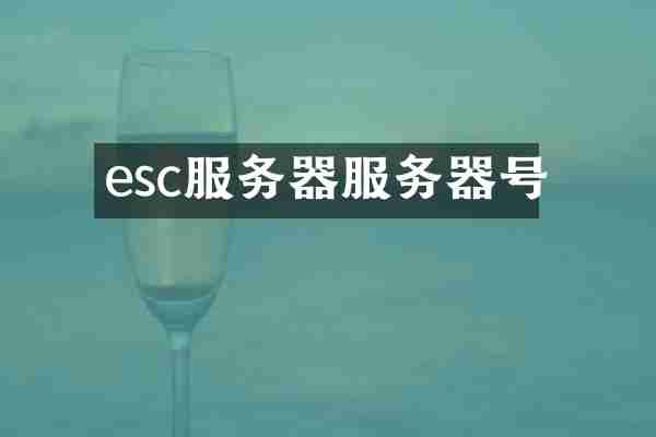 esc服务器服务器号