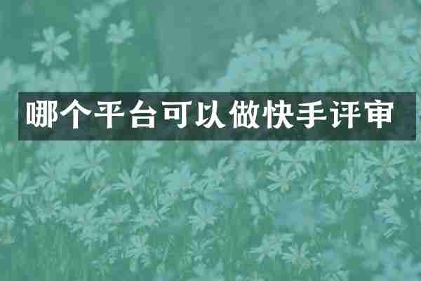 哪个平台可以做快手评审