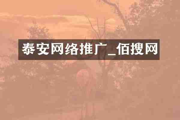 泰安网络推广_佰搜网