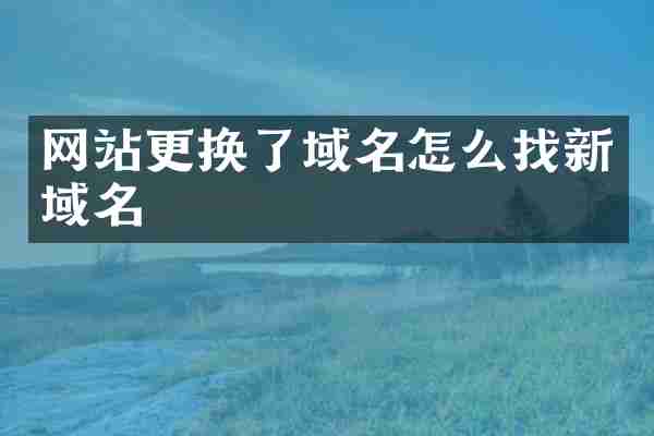 网站更换了域名怎么找新域名