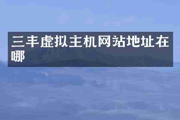 三丰虚拟主机网站地址在哪