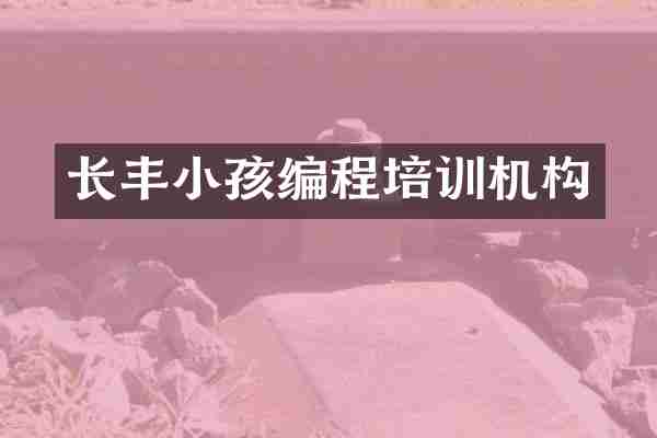 长丰小孩编程培训机构