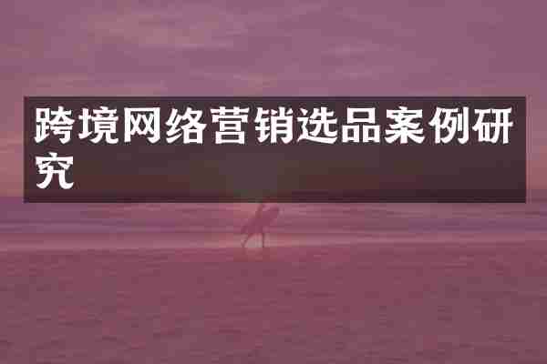 跨境网络营销选品案例研究