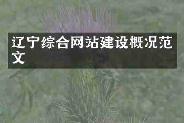 辽宁综合网站建设概况范文