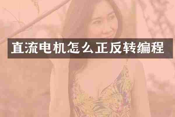 直流电机怎么正反转编程