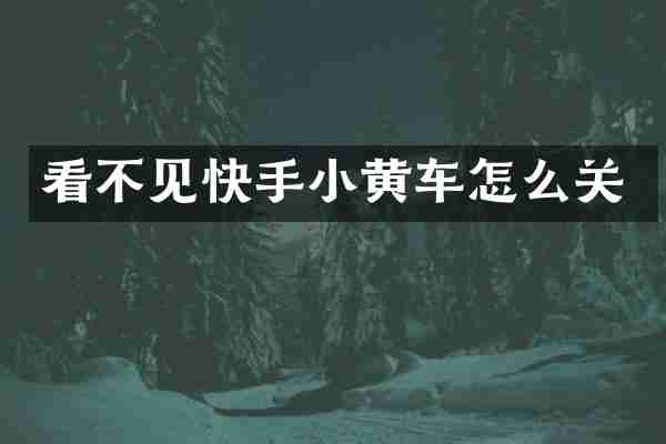 看不见快手小黄车怎么关