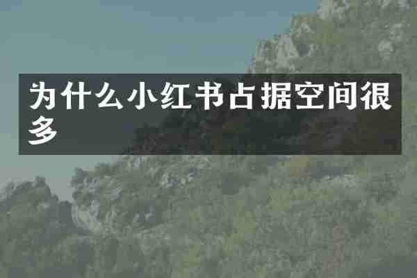 为什么小红书占据空间很多