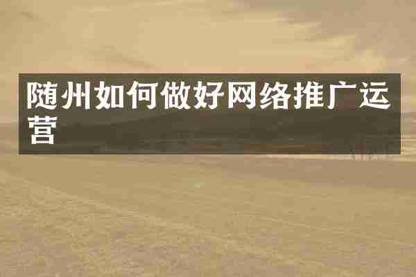 随州如何做好网络推广运营