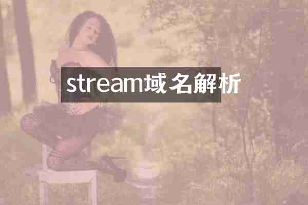 stream域名解析