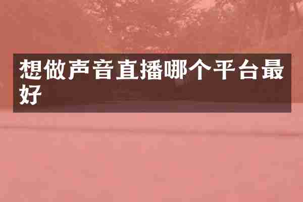 想做声音直播哪个平台最好