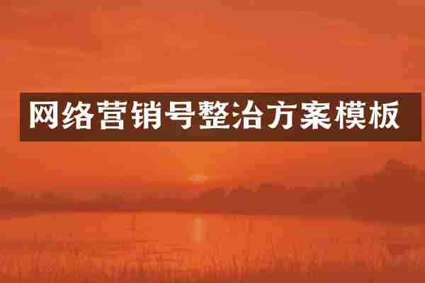 网络营销号整治方案模板
