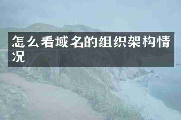怎么看域名的组织架构情况