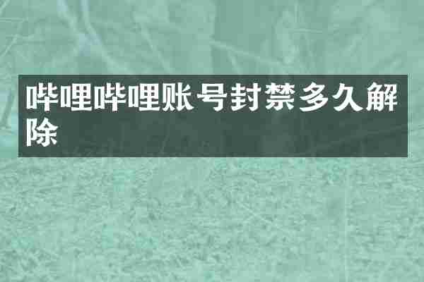 哔哩哔哩账号封禁多久解除