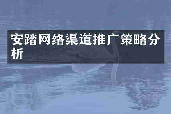 安踏网络渠道推广策略分析