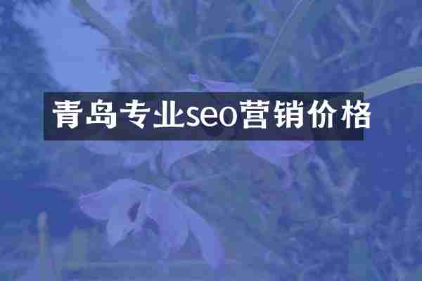 青岛专业seo营销价格