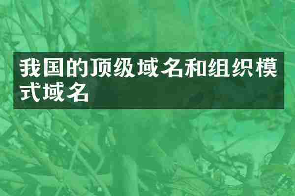 我国的顶级域名和组织模式域名