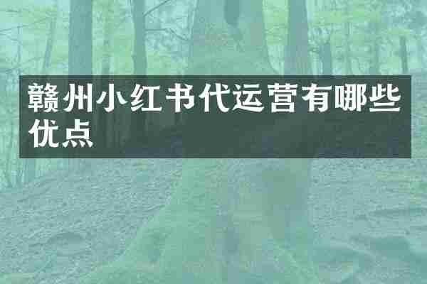 赣州小红书代运营有哪些优点