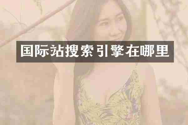 国际站搜索引擎在哪里
