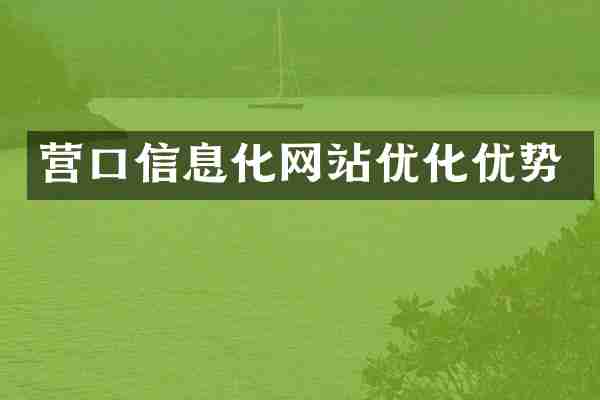 营口信息化网站优化优势