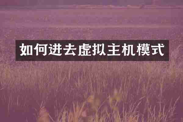 如何进去虚拟主机模式