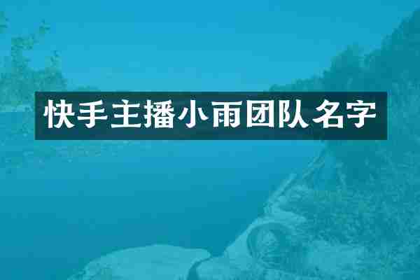 快手主播小雨团队名字