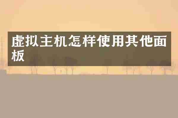 虚拟主机怎样使用其他面板