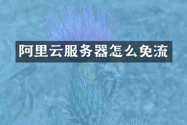 阿里云服务器怎么免流