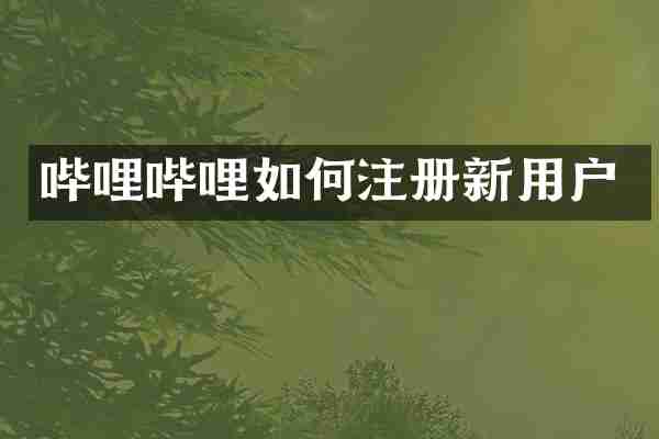 哔哩哔哩如何注册新用户