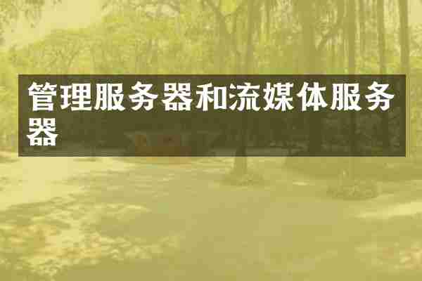 管理服务器和流媒体服务器