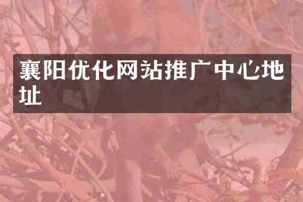 襄阳优化网站推广中心地址