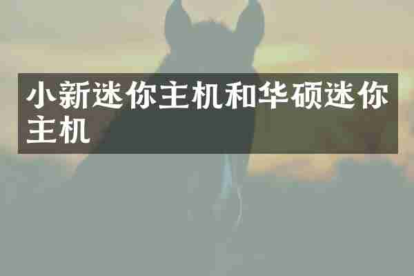 小新迷你主机和华硕迷你主机