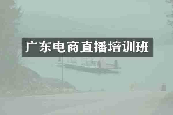 广东电商直播培训班