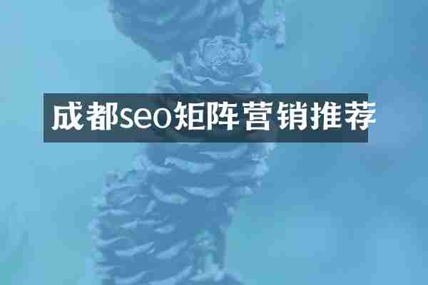 成都seo矩阵营销推荐
