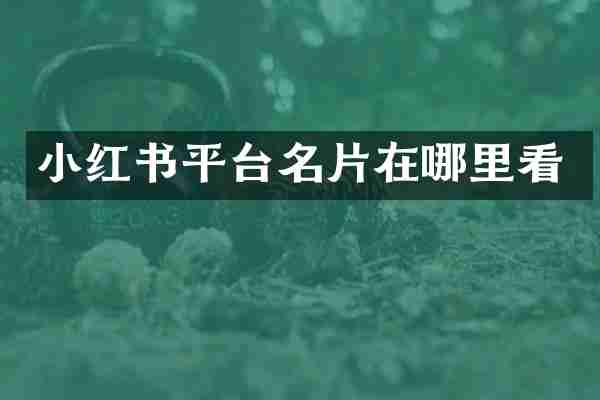 小红书平台名片在哪里看